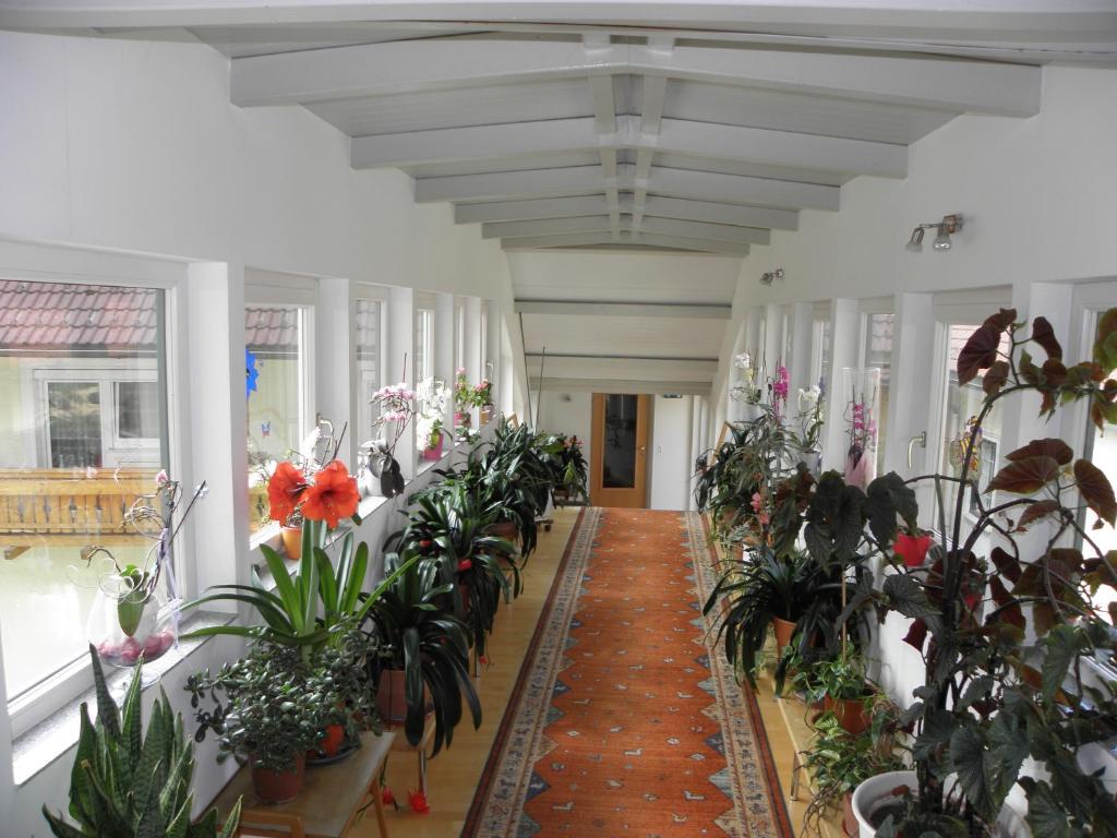 Hotel-Gasthof Stoff Wolfsberg Exterior foto